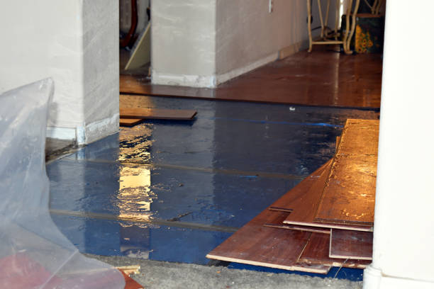 Professional Water Extraction technician working in Newhall, CA